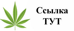 Купить наркотики в Архангельске